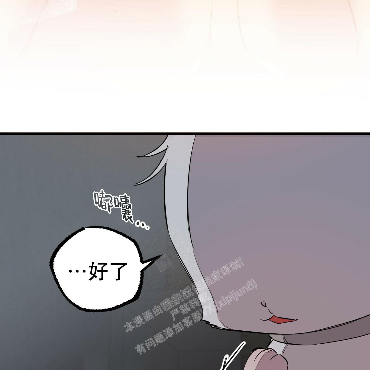 《 夏菲菲的兔子》漫画最新章节第111话免费下拉式在线观看章节第【61】张图片