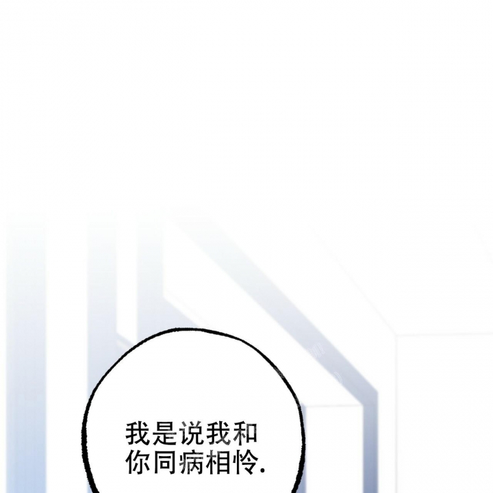 《 夏菲菲的兔子》漫画最新章节第87话免费下拉式在线观看章节第【33】张图片