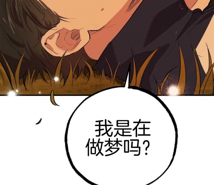 《 夏菲菲的兔子》漫画最新章节第66话免费下拉式在线观看章节第【22】张图片