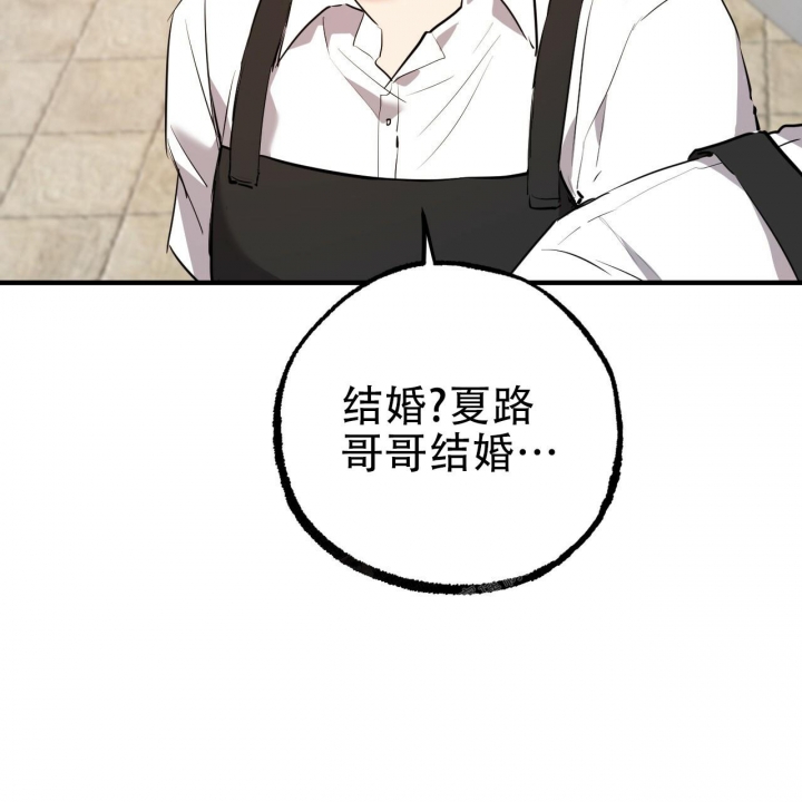 《 夏菲菲的兔子》漫画最新章节第100话免费下拉式在线观看章节第【24】张图片