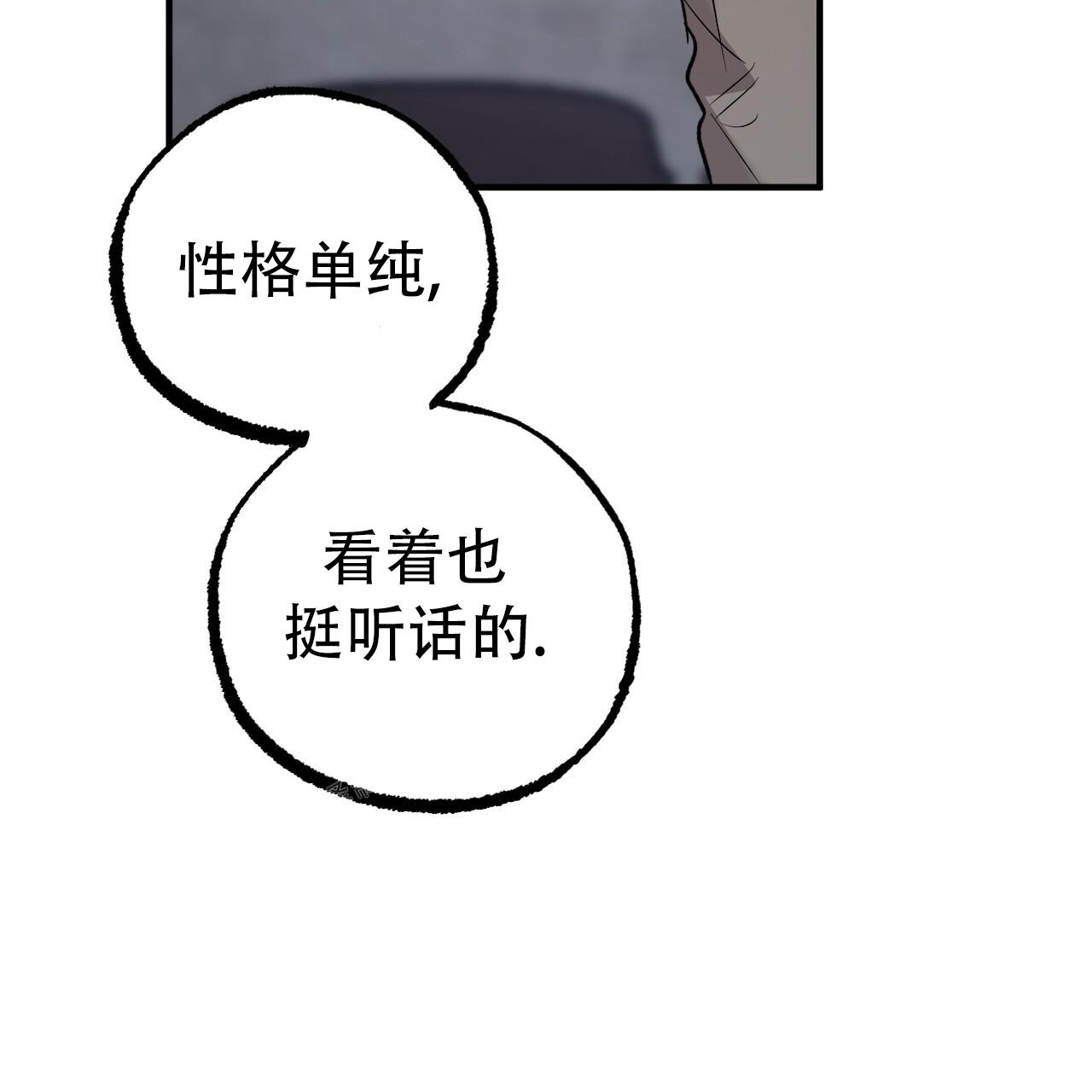 《 夏菲菲的兔子》漫画最新章节第137话免费下拉式在线观看章节第【8】张图片