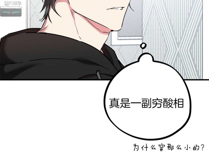 《 夏菲菲的兔子》漫画最新章节第11话免费下拉式在线观看章节第【27】张图片