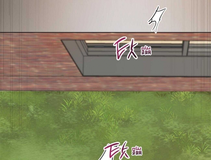 《 夏菲菲的兔子》漫画最新章节第8话免费下拉式在线观看章节第【7】张图片