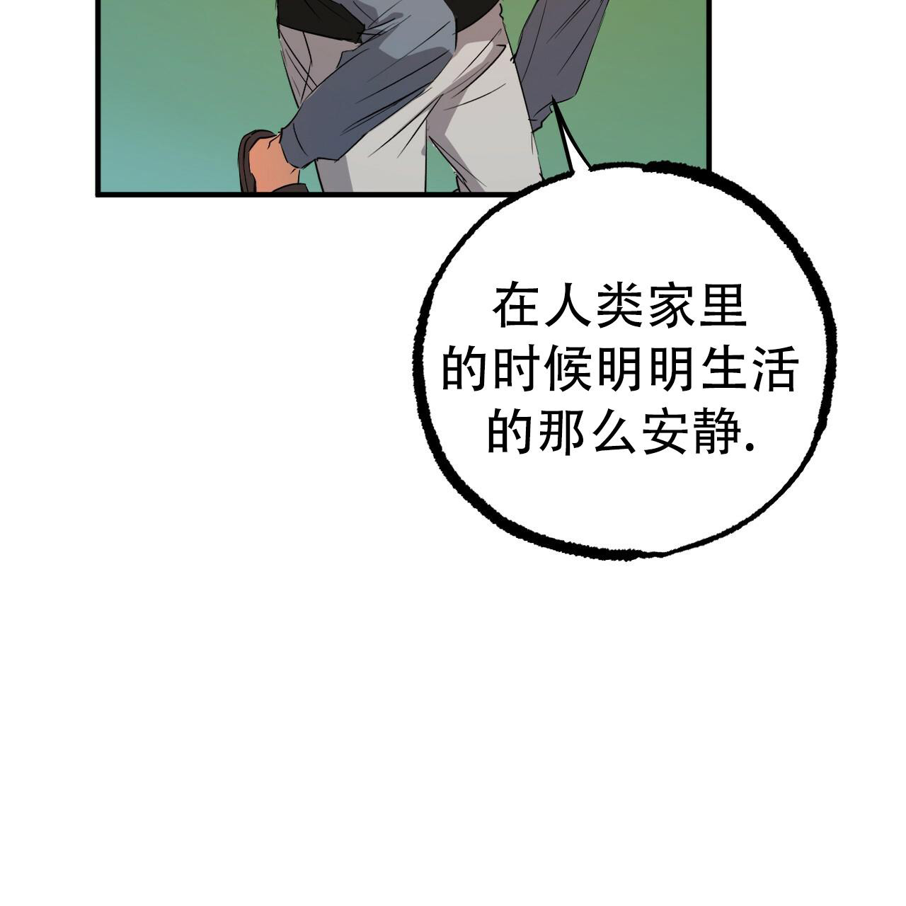 《 夏菲菲的兔子》漫画最新章节第124话免费下拉式在线观看章节第【70】张图片