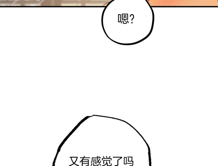 《 夏菲菲的兔子》漫画最新章节第69话免费下拉式在线观看章节第【51】张图片