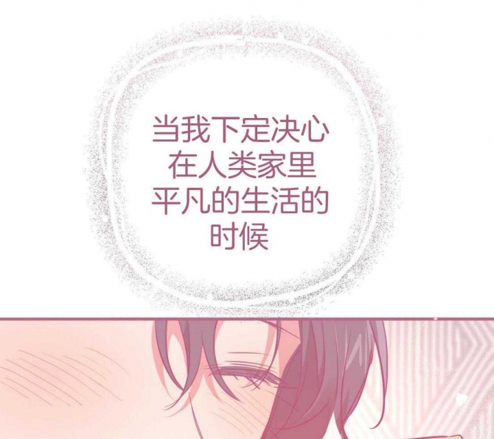 《 夏菲菲的兔子》漫画最新章节第51话免费下拉式在线观看章节第【8】张图片