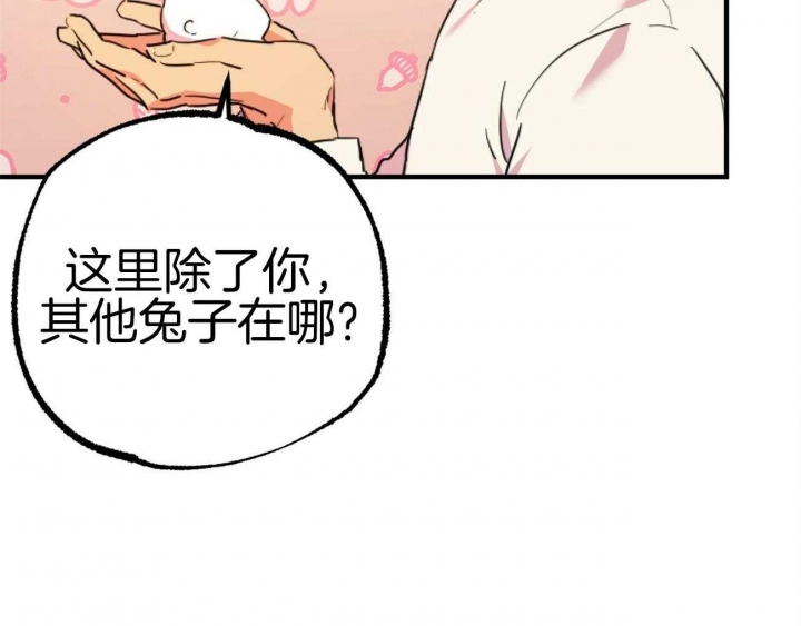 《 夏菲菲的兔子》漫画最新章节第7话免费下拉式在线观看章节第【31】张图片