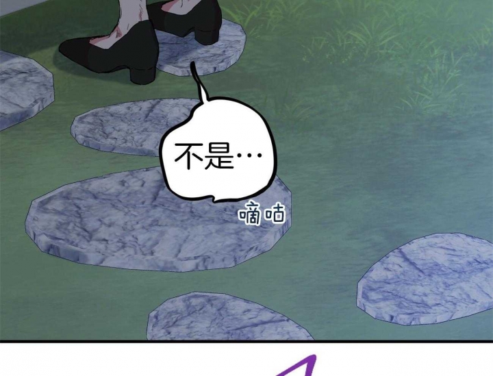 《 夏菲菲的兔子》漫画最新章节第18话免费下拉式在线观看章节第【39】张图片