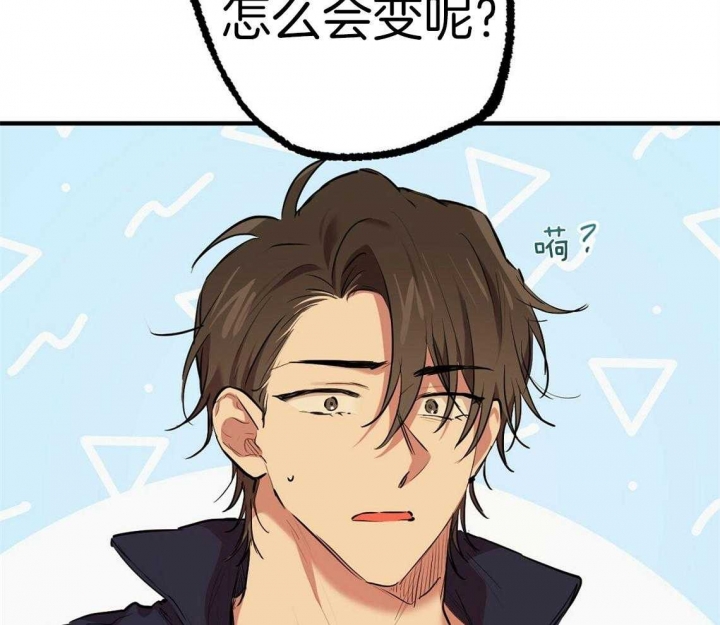 《 夏菲菲的兔子》漫画最新章节第67话免费下拉式在线观看章节第【15】张图片