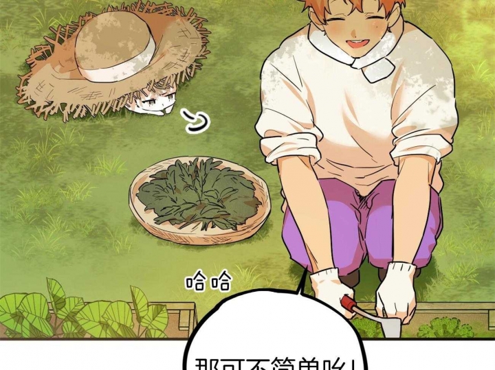 《 夏菲菲的兔子》漫画最新章节第8话免费下拉式在线观看章节第【33】张图片