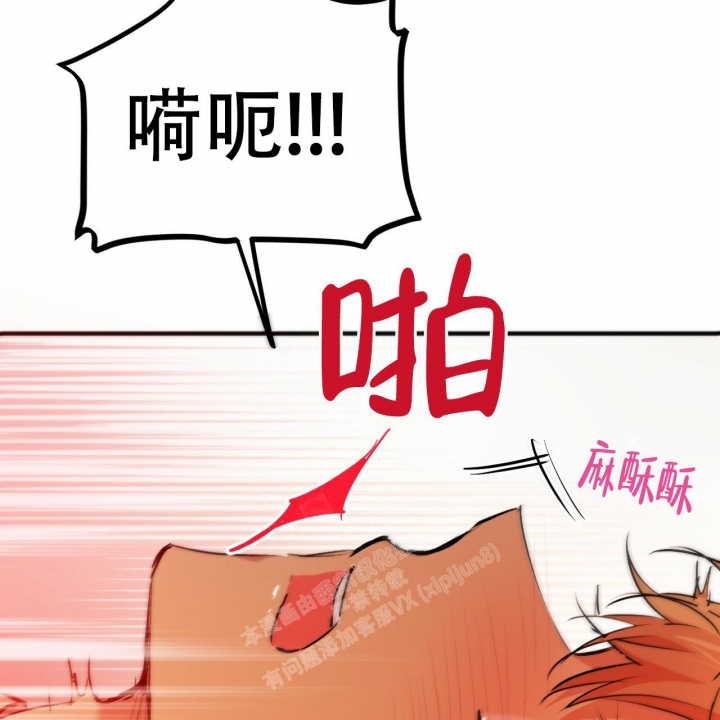 《 夏菲菲的兔子》漫画最新章节第84话免费下拉式在线观看章节第【39】张图片