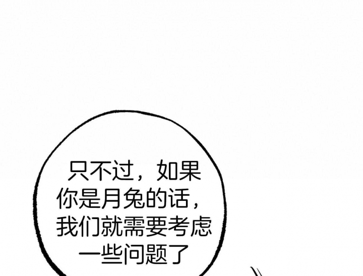 《 夏菲菲的兔子》漫画最新章节第71话免费下拉式在线观看章节第【62】张图片