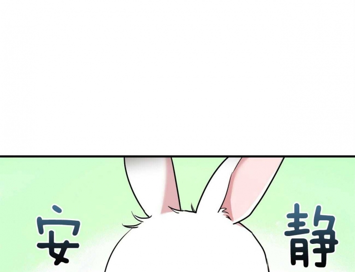 《 夏菲菲的兔子》漫画最新章节第9话免费下拉式在线观看章节第【24】张图片