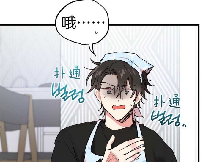 《 夏菲菲的兔子》漫画最新章节第32话免费下拉式在线观看章节第【18】张图片