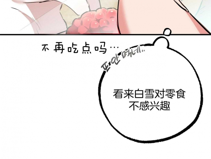 《 夏菲菲的兔子》漫画最新章节第75话免费下拉式在线观看章节第【44】张图片