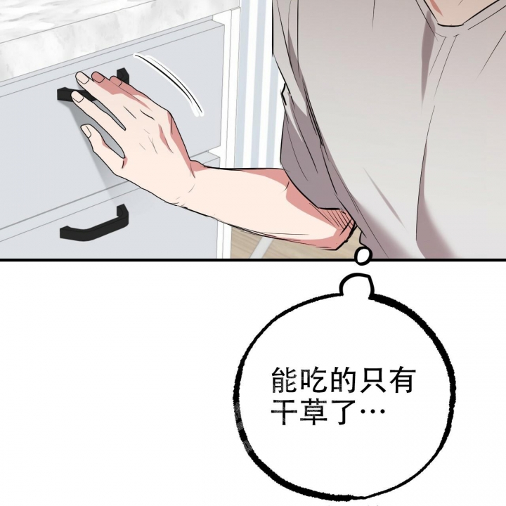 《 夏菲菲的兔子》漫画最新章节第96话免费下拉式在线观看章节第【27】张图片