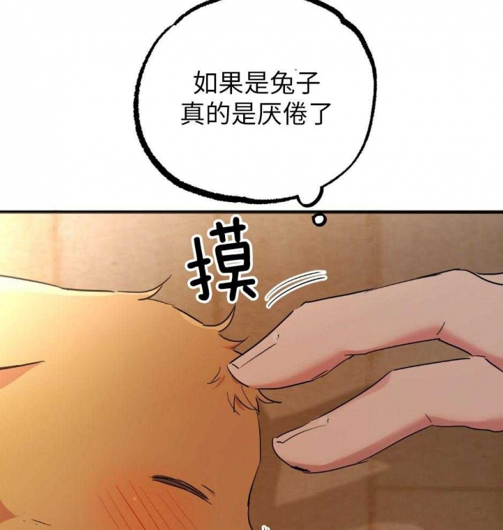 《 夏菲菲的兔子》漫画最新章节第37话免费下拉式在线观看章节第【26】张图片