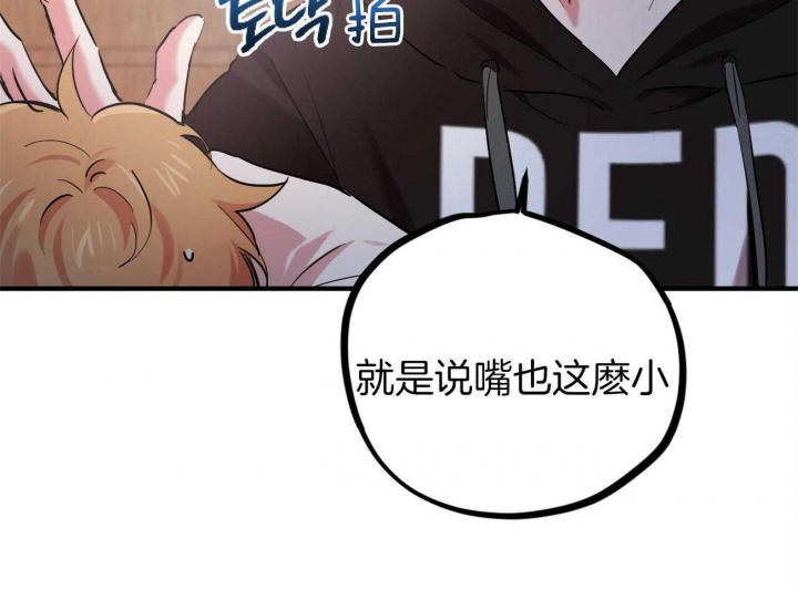 《 夏菲菲的兔子》漫画最新章节第21话免费下拉式在线观看章节第【12】张图片