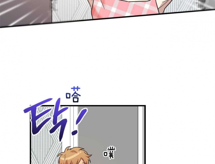 《 夏菲菲的兔子》漫画最新章节第18话免费下拉式在线观看章节第【11】张图片