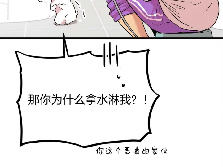 《 夏菲菲的兔子》漫画最新章节第9话免费下拉式在线观看章节第【61】张图片