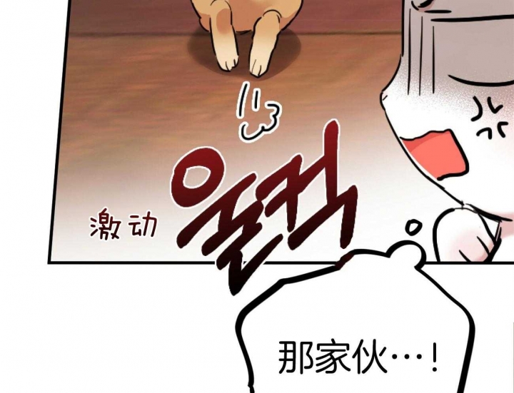 《 夏菲菲的兔子》漫画最新章节第6话免费下拉式在线观看章节第【3】张图片