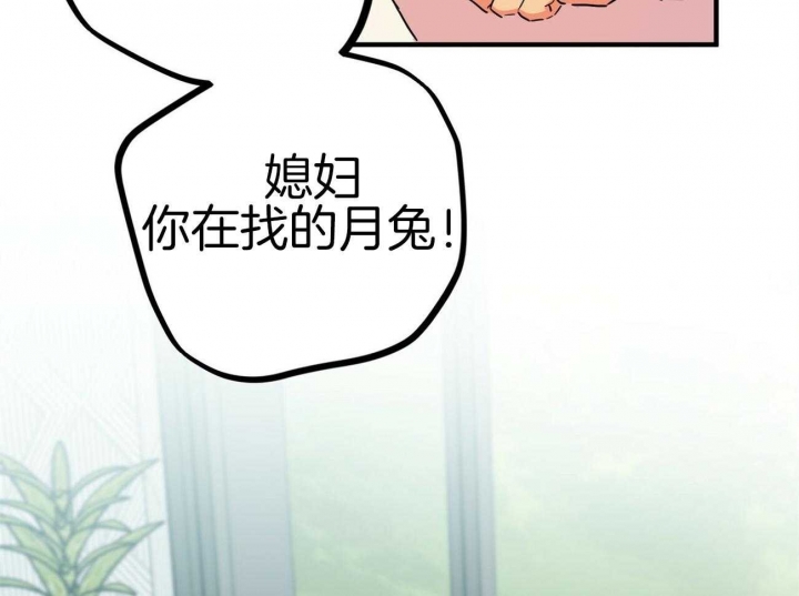 《 夏菲菲的兔子》漫画最新章节第13话免费下拉式在线观看章节第【40】张图片