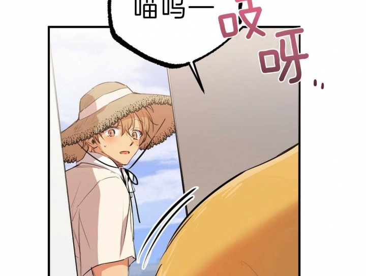 《 夏菲菲的兔子》漫画最新章节第81话免费下拉式在线观看章节第【8】张图片