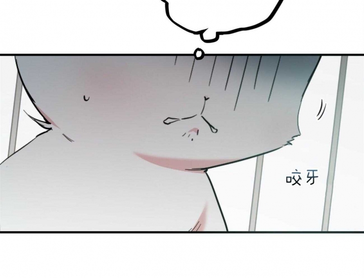 《 夏菲菲的兔子》漫画最新章节第6话免费下拉式在线观看章节第【44】张图片