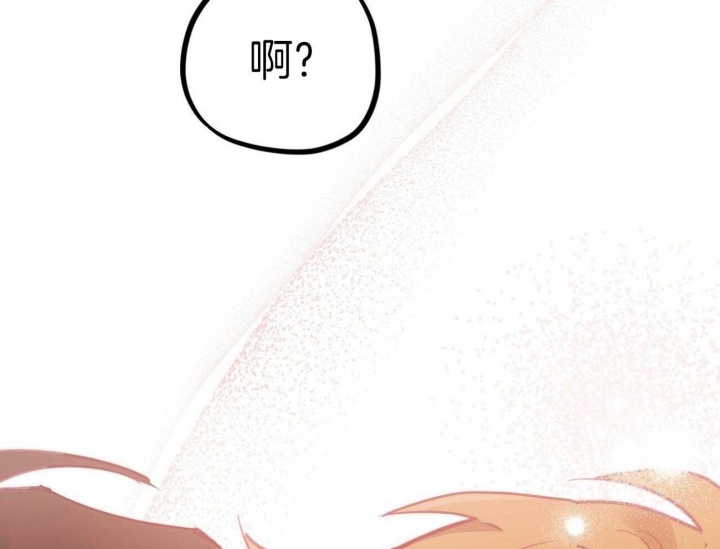 《 夏菲菲的兔子》漫画最新章节第18话免费下拉式在线观看章节第【65】张图片