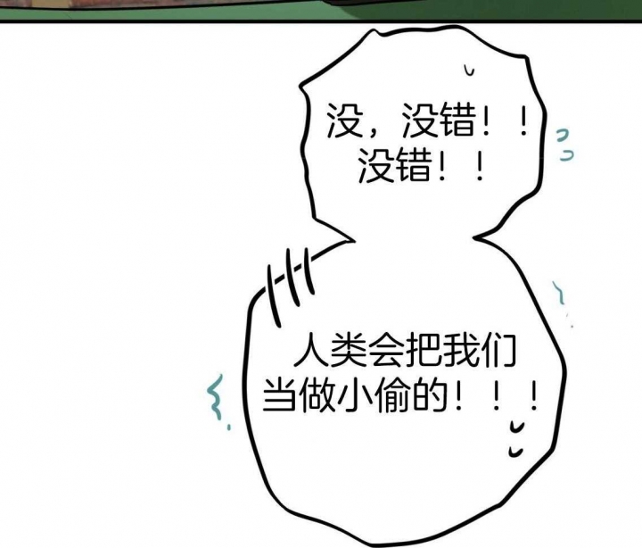 《 夏菲菲的兔子》漫画最新章节第54话免费下拉式在线观看章节第【20】张图片