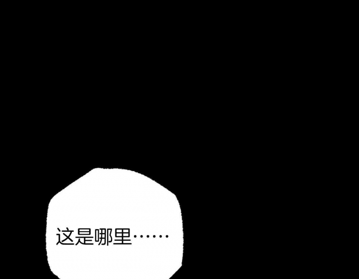 《 夏菲菲的兔子》漫画最新章节第83话免费下拉式在线观看章节第【55】张图片