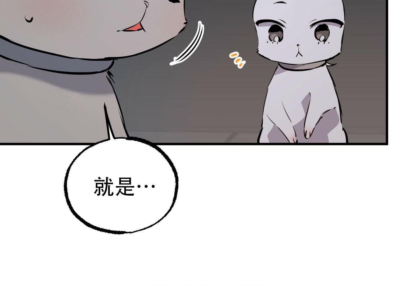 《 夏菲菲的兔子》漫画最新章节第110话免费下拉式在线观看章节第【36】张图片