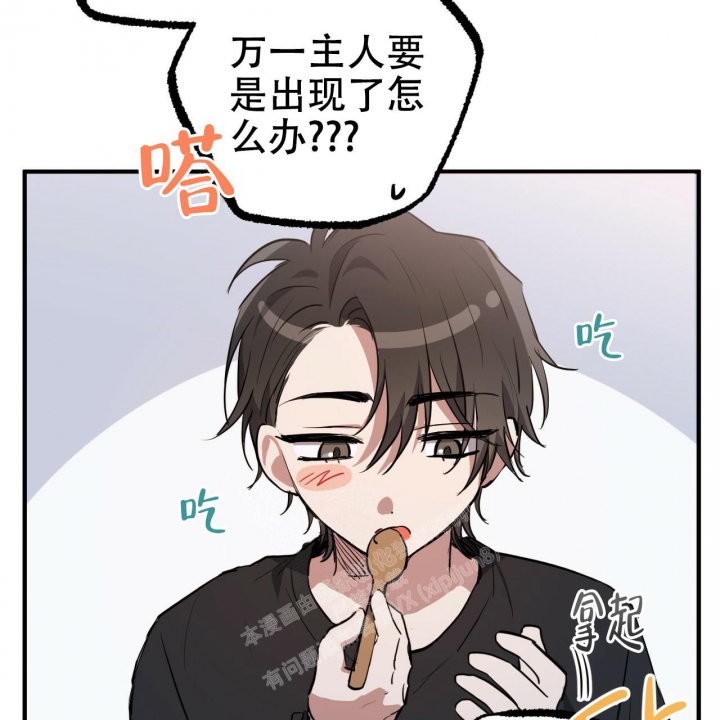 《 夏菲菲的兔子》漫画最新章节第93话免费下拉式在线观看章节第【19】张图片