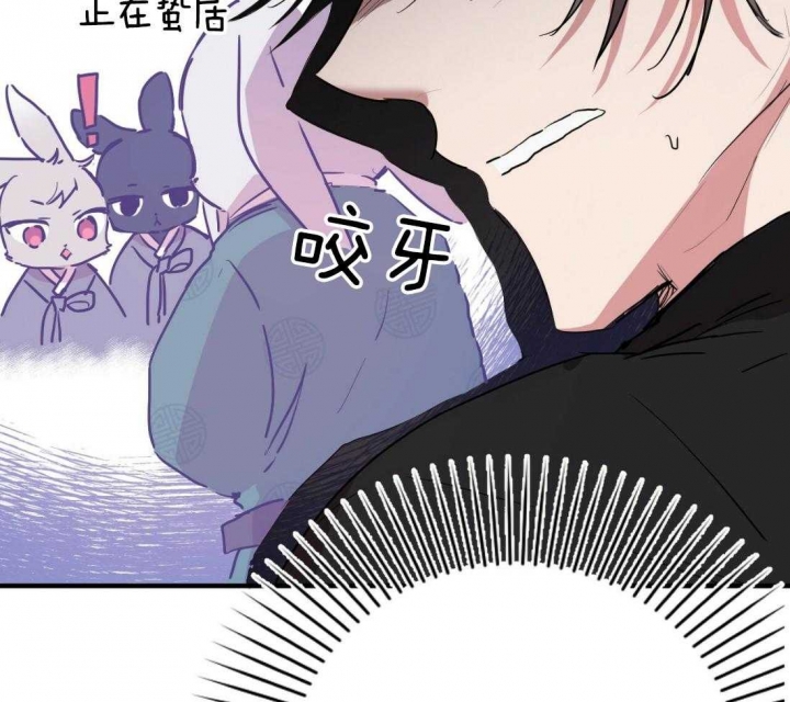 《 夏菲菲的兔子》漫画最新章节第35话免费下拉式在线观看章节第【36】张图片