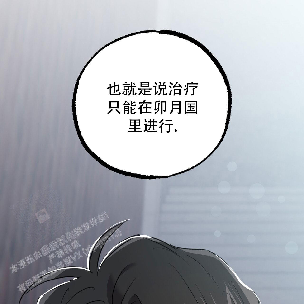 《 夏菲菲的兔子》漫画最新章节第138话免费下拉式在线观看章节第【59】张图片