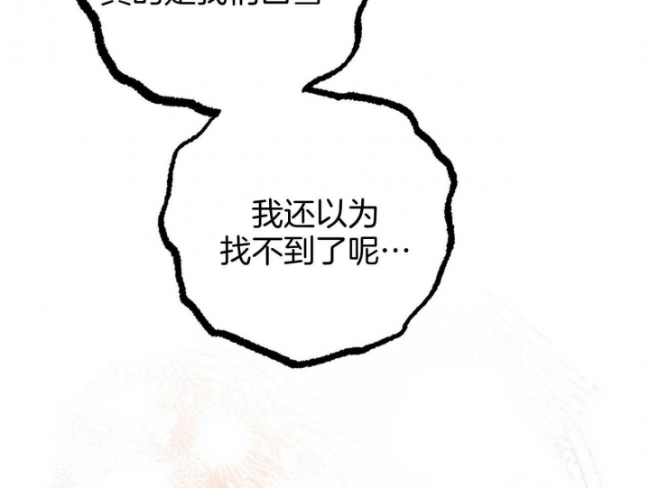 《 夏菲菲的兔子》漫画最新章节第74话免费下拉式在线观看章节第【25】张图片