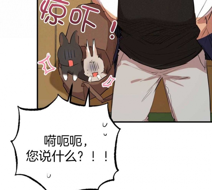 《 夏菲菲的兔子》漫画最新章节第55话免费下拉式在线观看章节第【55】张图片