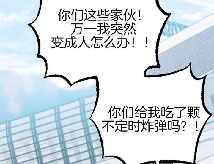 《 夏菲菲的兔子》漫画最新章节第9话免费下拉式在线观看章节第【30】张图片