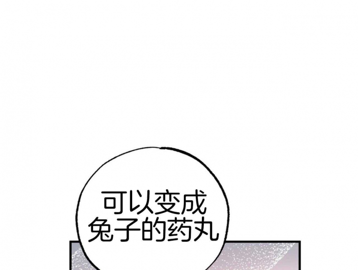 《 夏菲菲的兔子》漫画最新章节第28话免费下拉式在线观看章节第【34】张图片