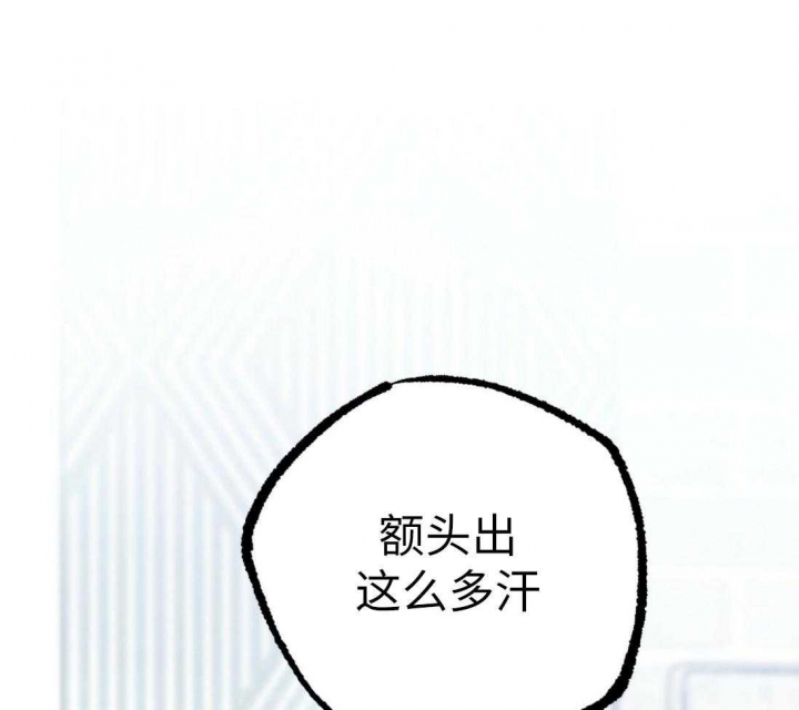 《 夏菲菲的兔子》漫画最新章节第35话免费下拉式在线观看章节第【64】张图片