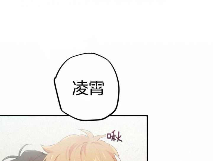 《 夏菲菲的兔子》漫画最新章节第31话免费下拉式在线观看章节第【14】张图片