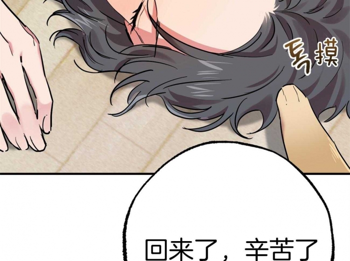 《 夏菲菲的兔子》漫画最新章节第19话免费下拉式在线观看章节第【40】张图片