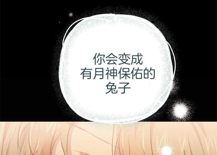 《 夏菲菲的兔子》漫画最新章节第72话免费下拉式在线观看章节第【76】张图片