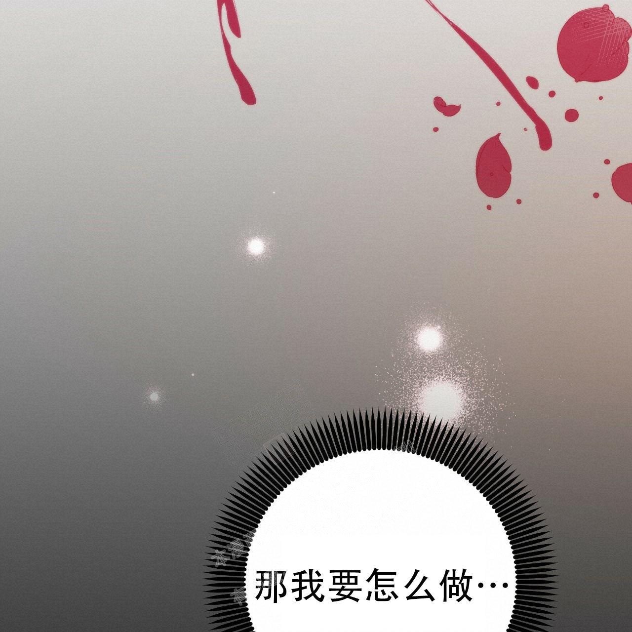 《 夏菲菲的兔子》漫画最新章节第106话免费下拉式在线观看章节第【74】张图片