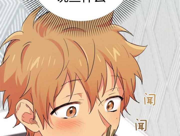 《 夏菲菲的兔子》漫画最新章节第32话免费下拉式在线观看章节第【52】张图片