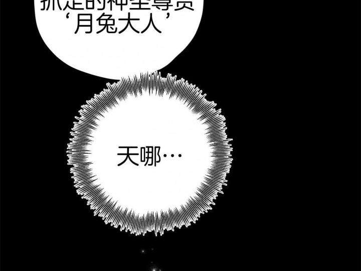 《 夏菲菲的兔子》漫画最新章节第3话免费下拉式在线观看章节第【29】张图片