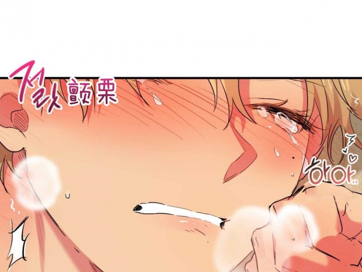 《 夏菲菲的兔子》漫画最新章节第24话免费下拉式在线观看章节第【27】张图片