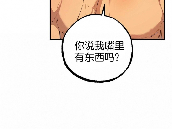 《 夏菲菲的兔子》漫画最新章节第72话免费下拉式在线观看章节第【19】张图片