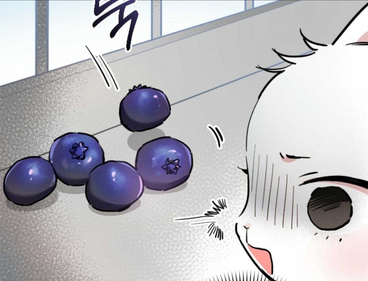 《 夏菲菲的兔子》漫画最新章节第6话免费下拉式在线观看章节第【18】张图片