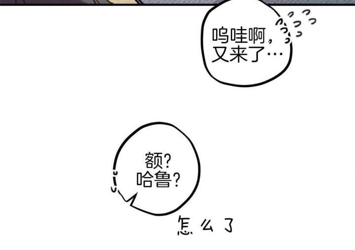 《 夏菲菲的兔子》漫画最新章节第1话免费下拉式在线观看章节第【66】张图片